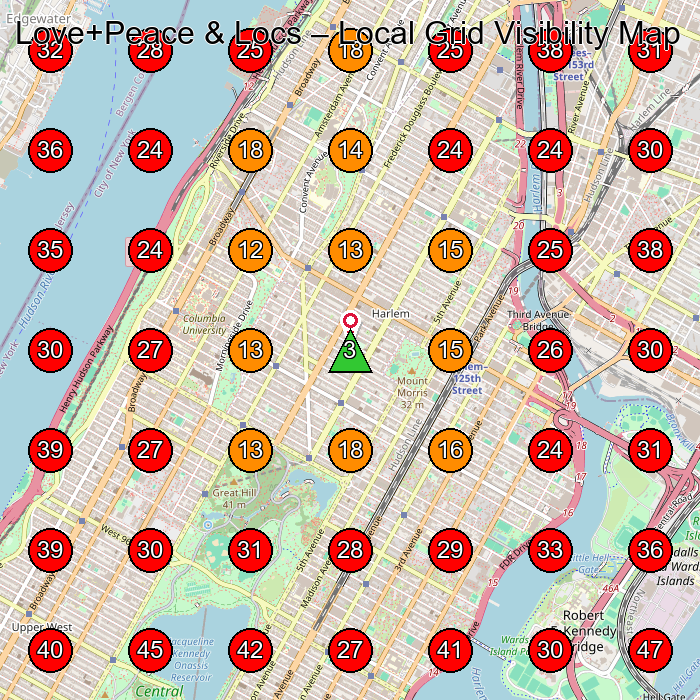Love+Peace & Locs GeoGrid visibility map for Hair Salon in New York